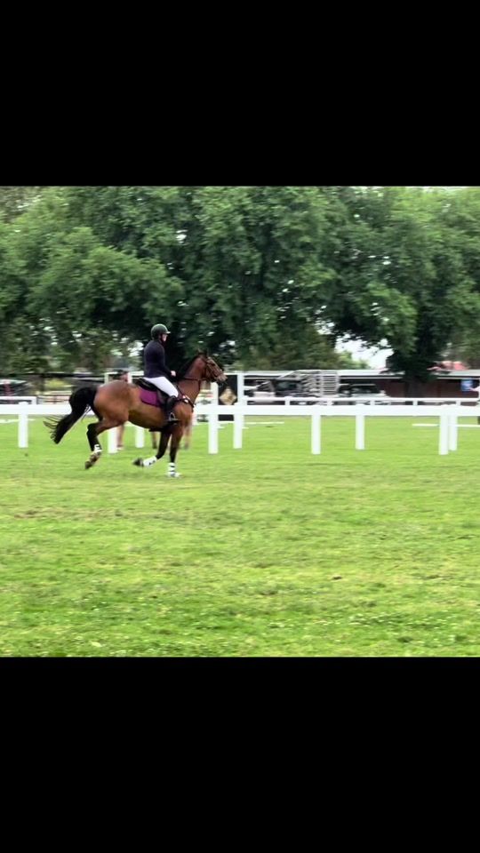 TikTok video thumbnail by graceequestrian24