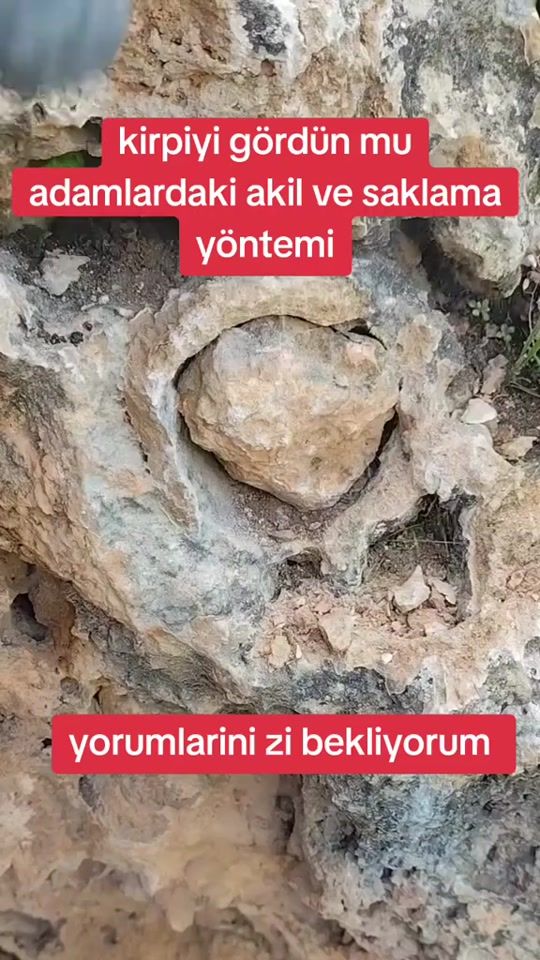 TikTok video thumbnail by arkeologgold