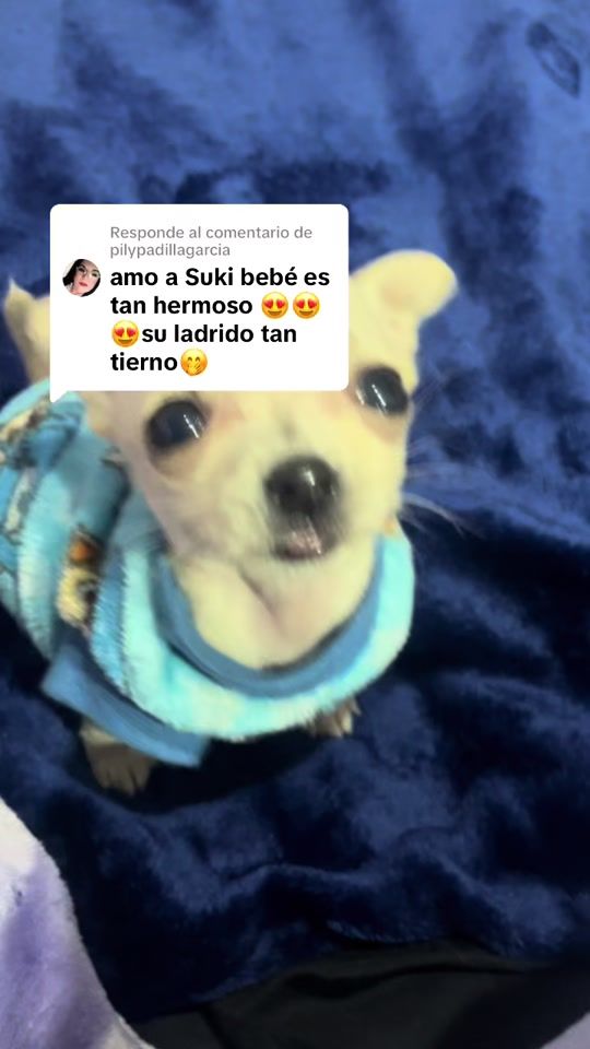 TikTok video thumbnail by sukiaprende