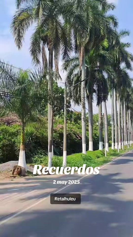 TikTok video thumbnail by emanuel_castro_502