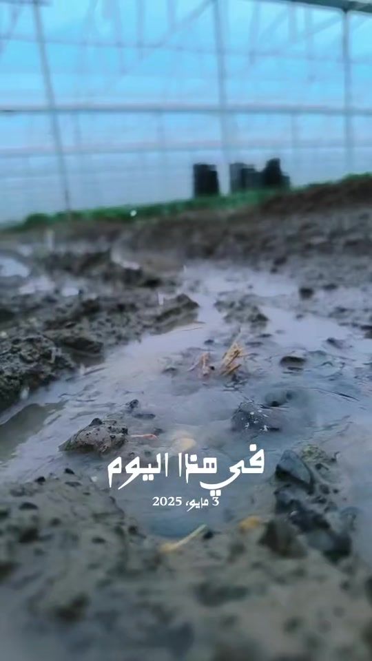 TikTok video thumbnail by aldawla.511