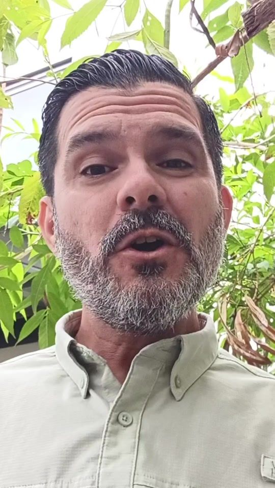 TikTok video thumbnail by danny_germer