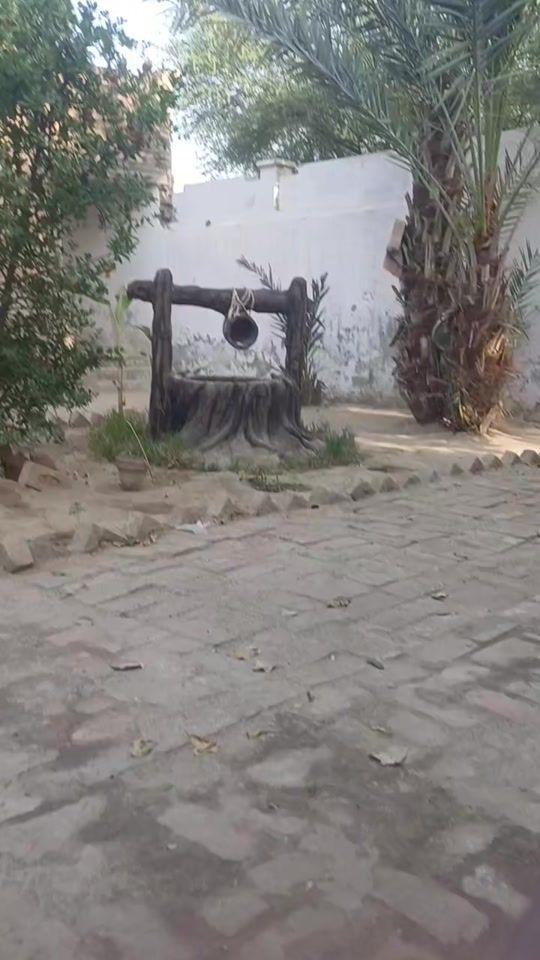 TikTok video thumbnail by shaheryaar512