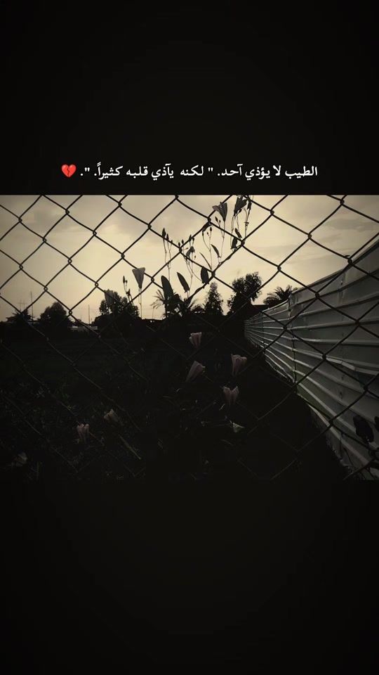TikTok video thumbnail by w5_o07