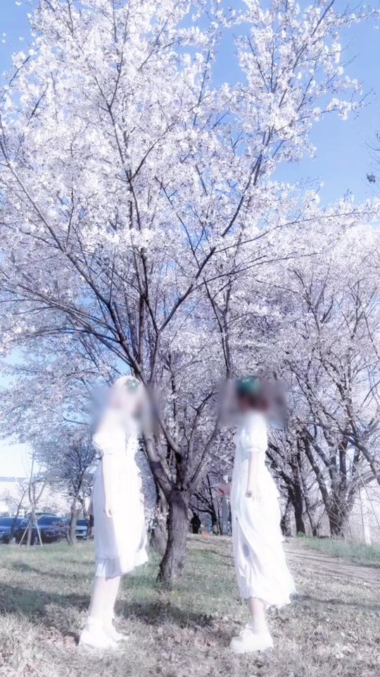 TikTok video thumbnail by hh_y08