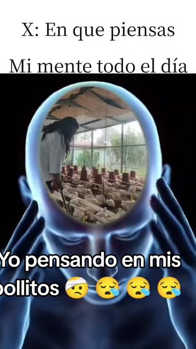 TikTok video thumbnail by cesiyol1230