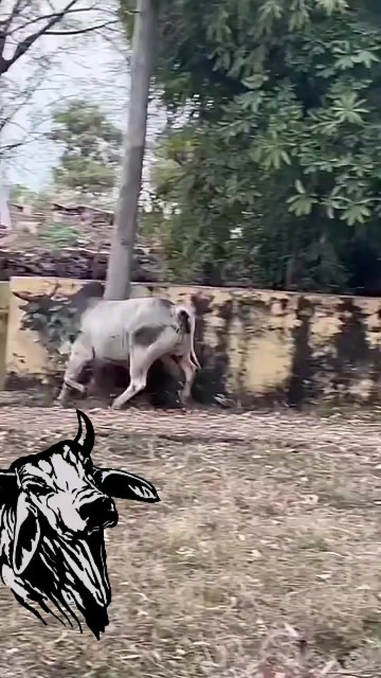 TikTok video thumbnail by _son_african