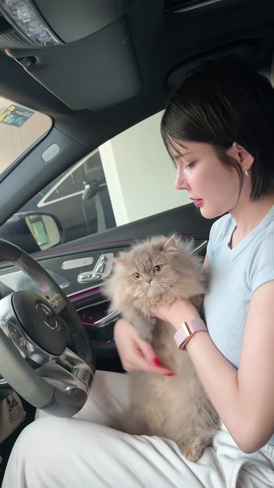 TikTok video thumbnail by iceziipk