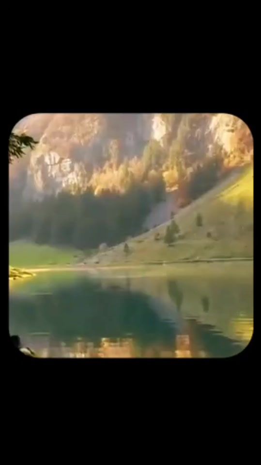TikTok video thumbnail by roya1772