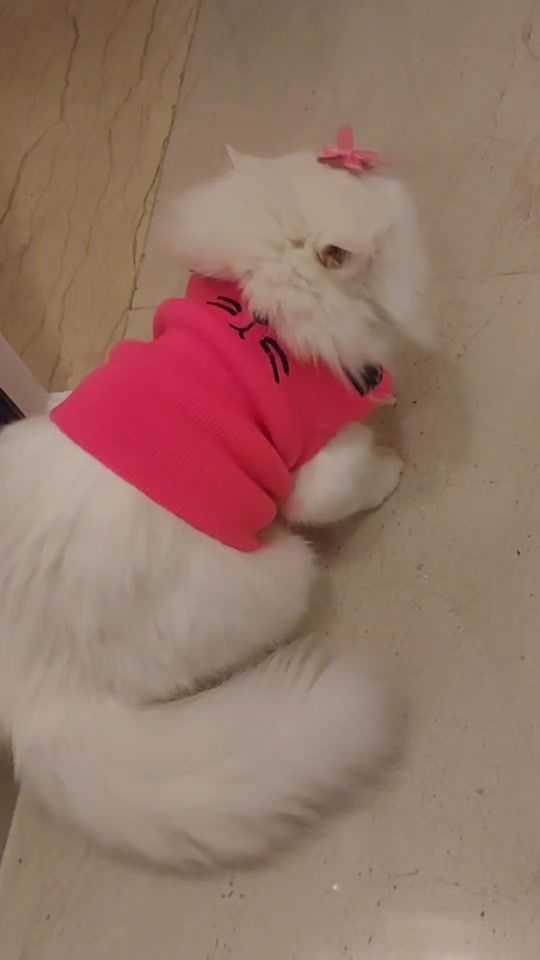 TikTok video thumbnail by natashoo0_