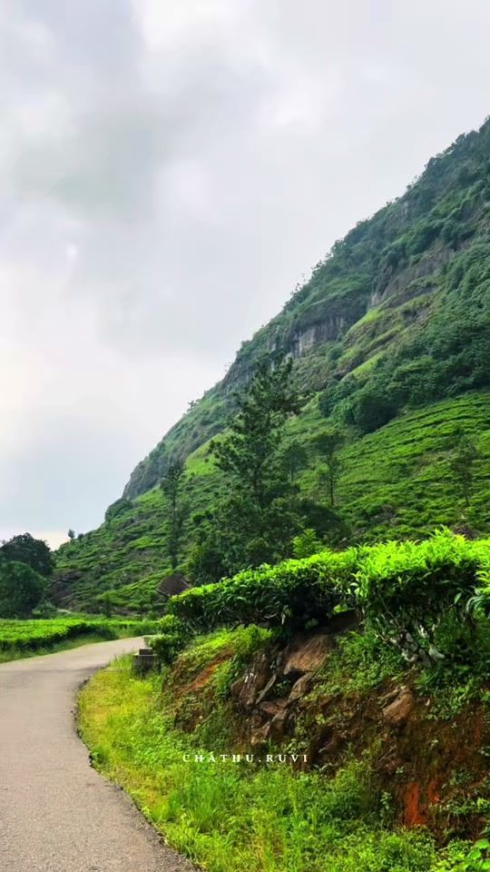 TikTok video thumbnail by chathu.ruvi