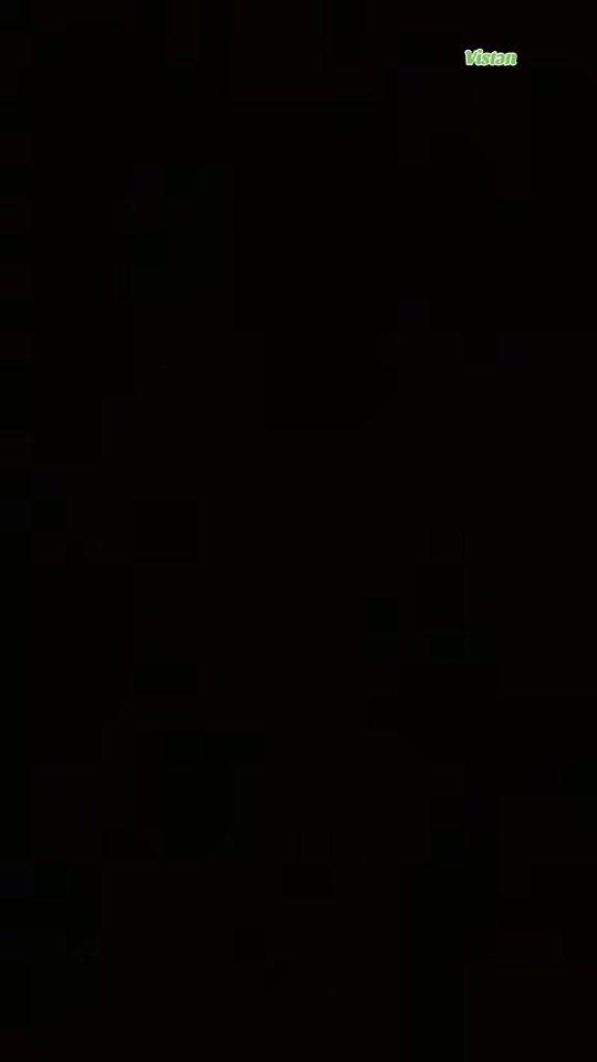 TikTok video thumbnail by lerik_visten