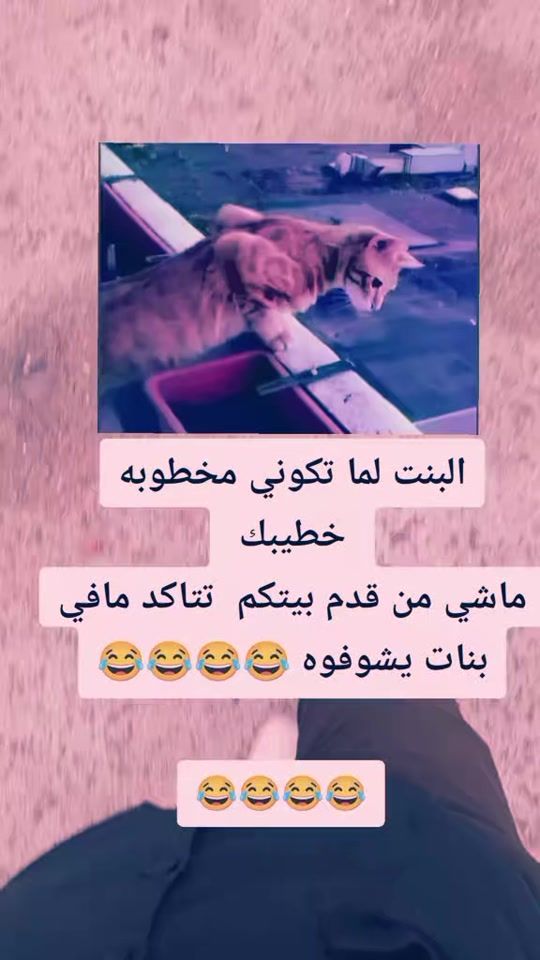 TikTok video thumbnail by abumamn