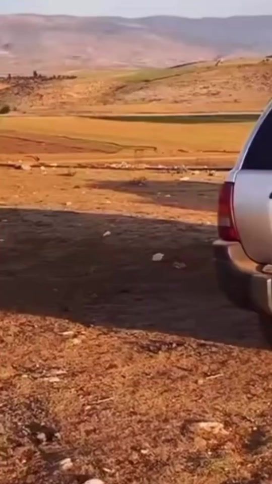 TikTok video thumbnail by hl102030_