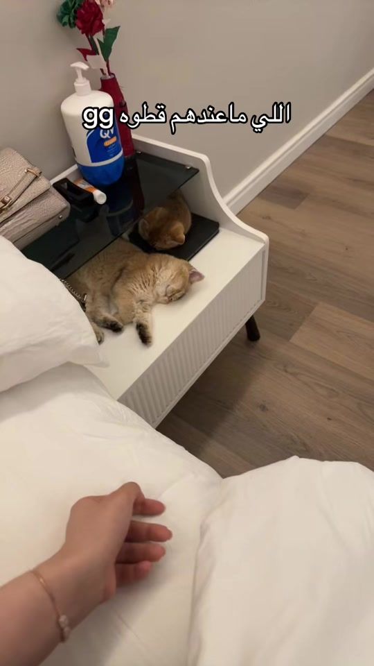 TikTok video thumbnail by bllcrr