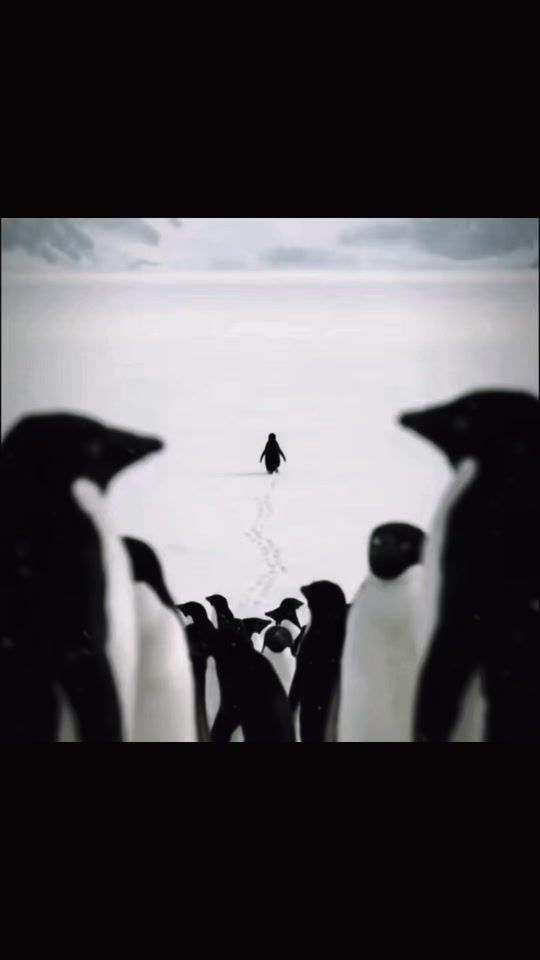 TikTok video thumbnail by adevvex