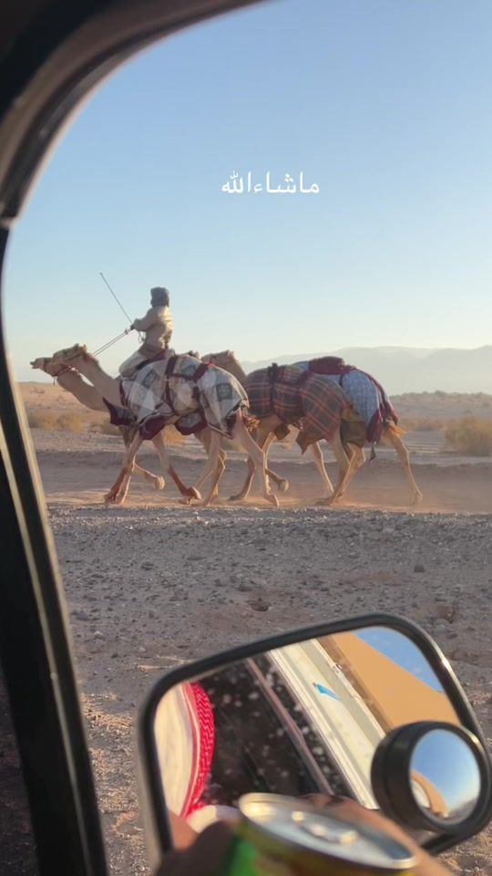 TikTok video thumbnail by 1nlfu