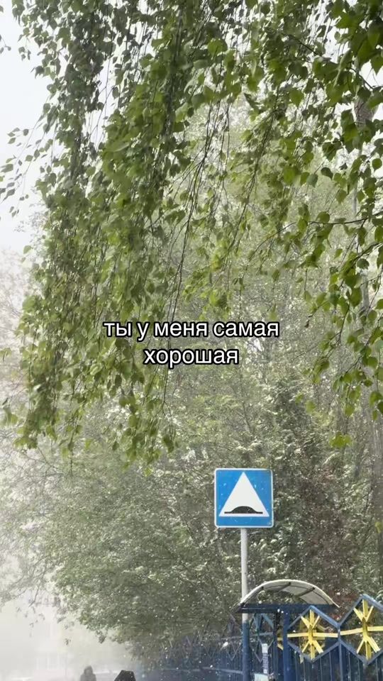 TikTok video thumbnail by qq.ilw