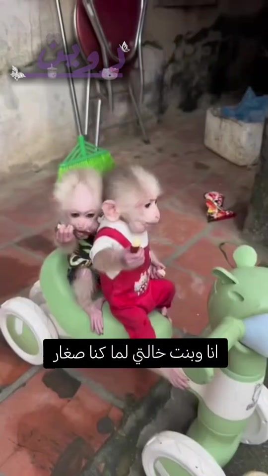 TikTok video thumbnail by rowain.wourld.1