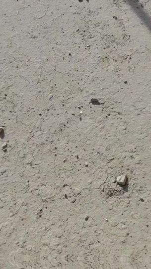 TikTok video thumbnail by ar600_