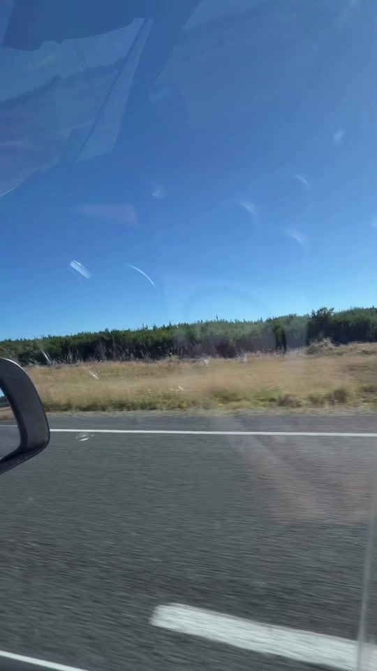 TikTok video thumbnail by charlenechase