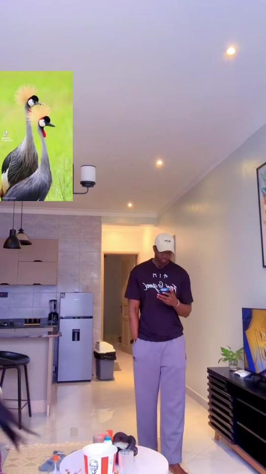 TikTok video thumbnail by dooro.anger