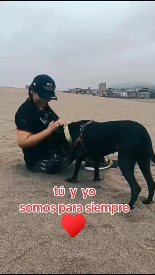 TikTok video thumbnail by mary.ta40