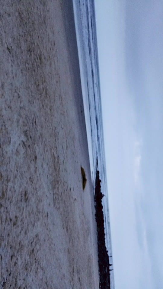 TikTok video thumbnail by paulalaina