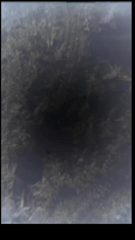 TikTok video thumbnail by generacion90s.2000s