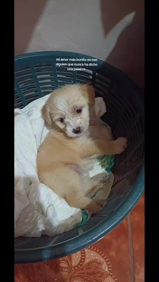 TikTok video thumbnail by ktx._r
