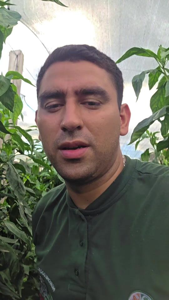 TikTok video thumbnail by luis..vera