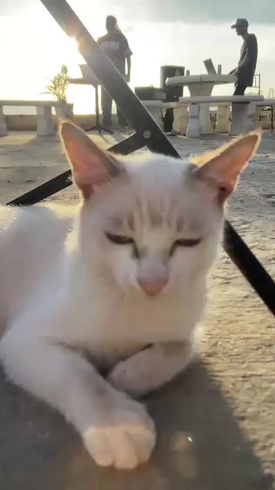 TikTok video thumbnail by kapuitours