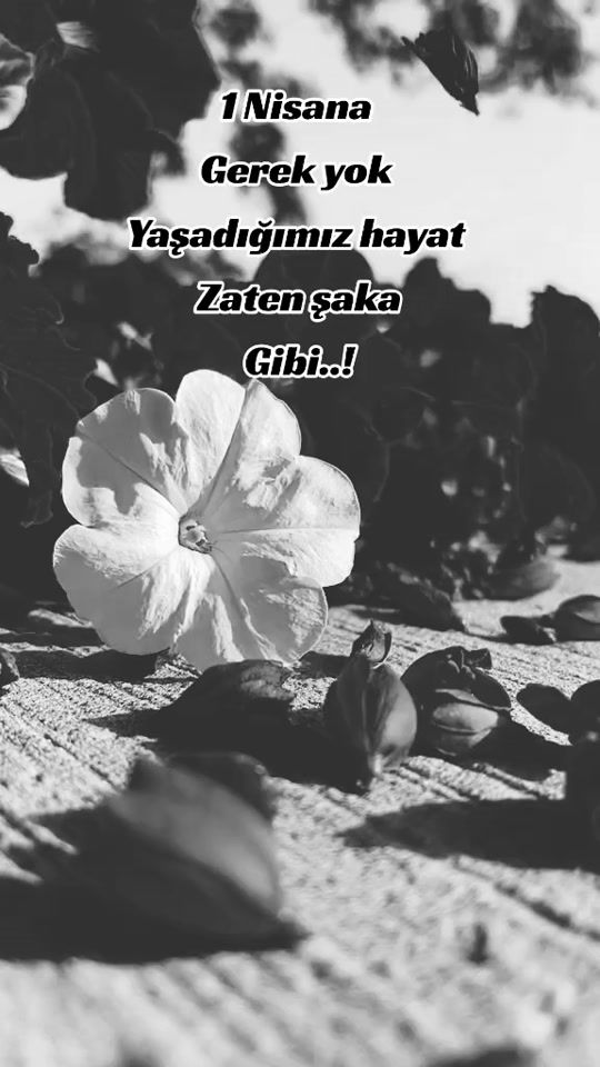TikTok video thumbnail by _elif_gibi_