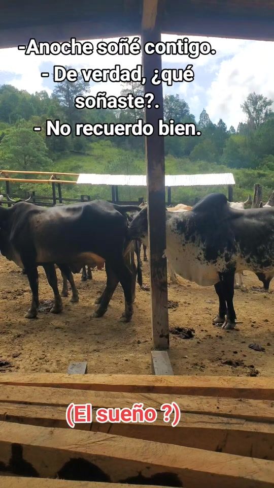 TikTok video thumbnail by richar.caceres