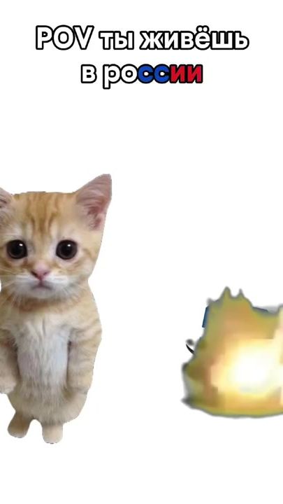 TikTok video thumbnail by dep8cat