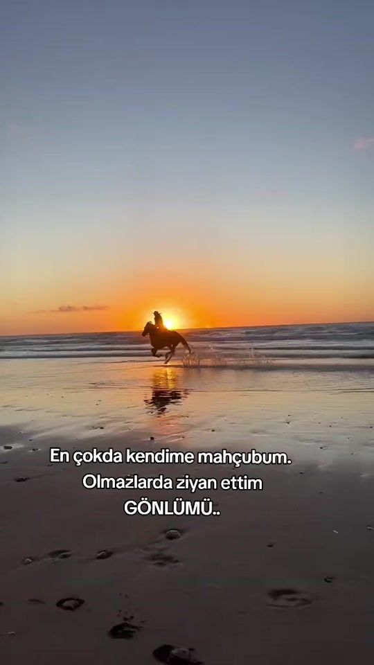 TikTok video thumbnail by mengenli53
