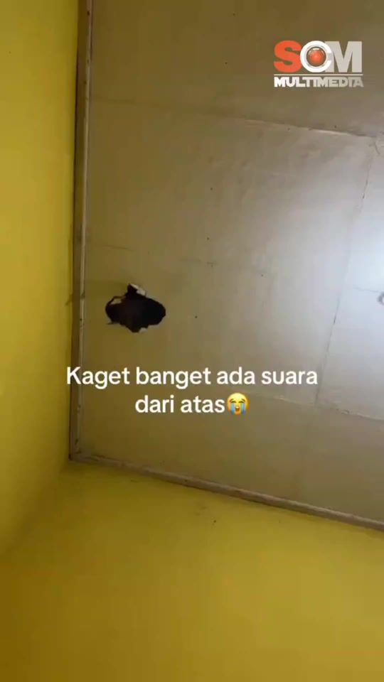 TikTok video thumbnail by scm_official