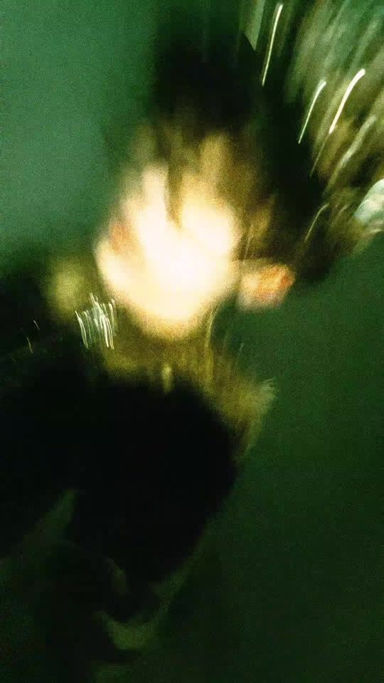 TikTok video thumbnail by _flaps_