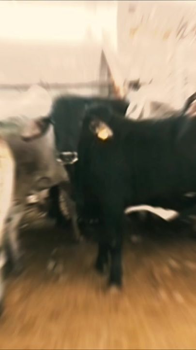 TikTok video thumbnail by un_e21