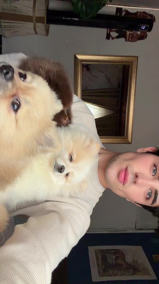 TikTok video thumbnail by simo17._