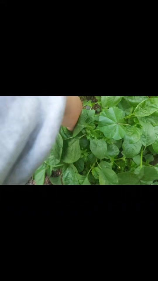 TikTok video thumbnail by anitaijam