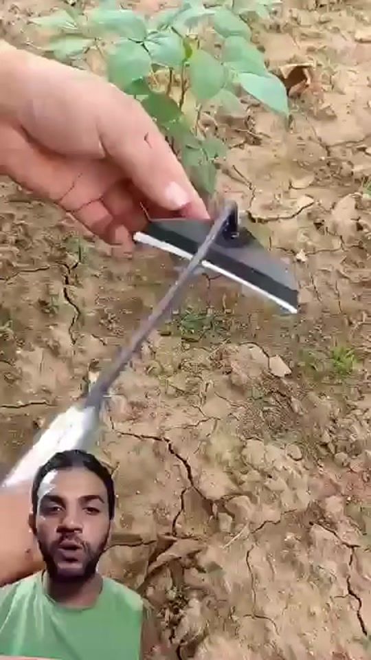TikTok video thumbnail by smart_gardener20