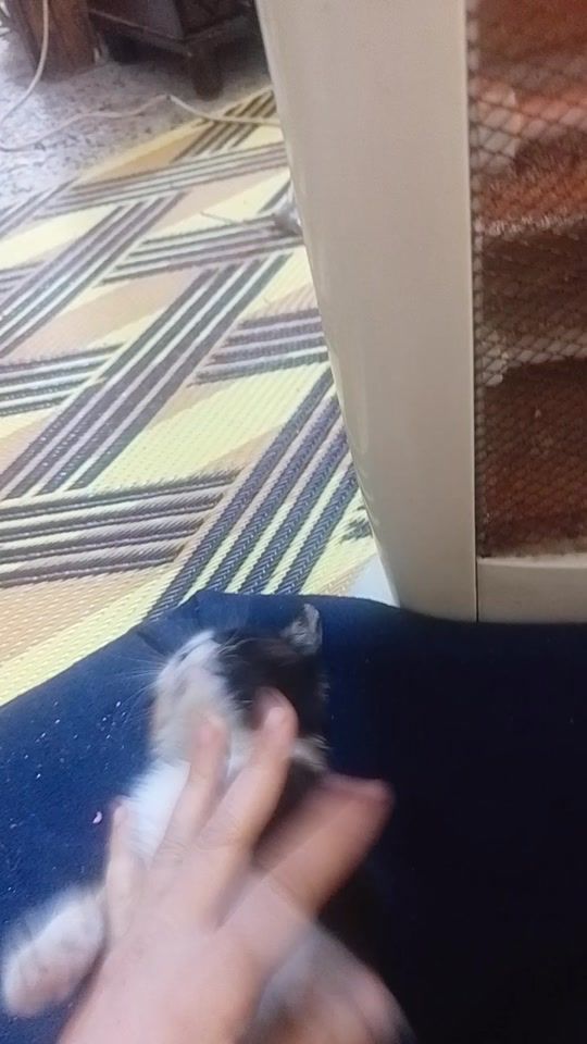 TikTok video thumbnail by commnalmn2