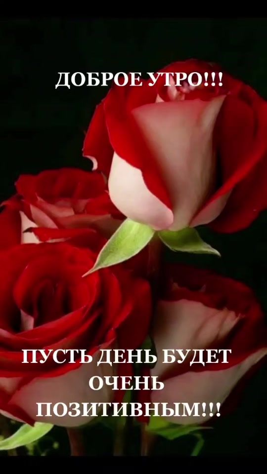 TikTok video thumbnail by jazira886