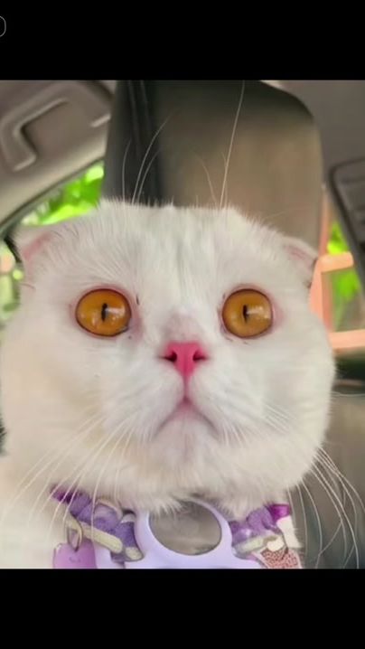 TikTok video thumbnail by mxmin99