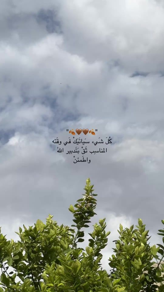 TikTok video thumbnail by 3li__24_