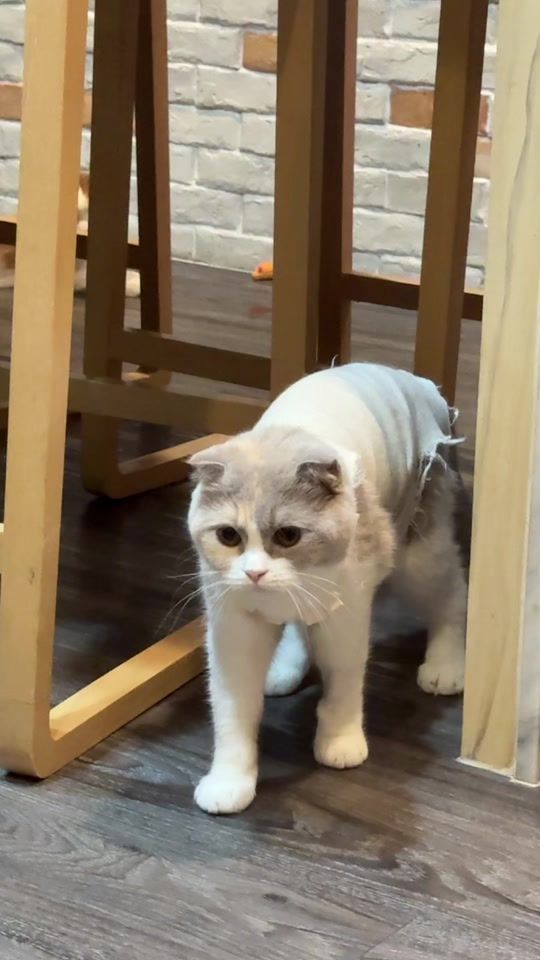 TikTok video thumbnail by soomnyyy_