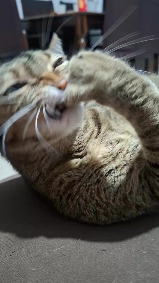 TikTok video thumbnail by kai_y_lua