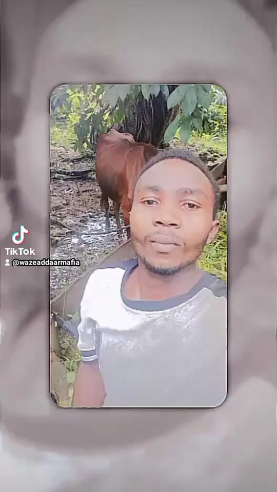 TikTok video thumbnail by wazeaddaarmafia