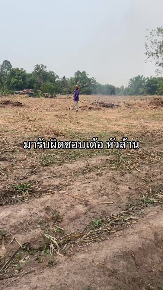TikTok video thumbnail by thiwaporn99